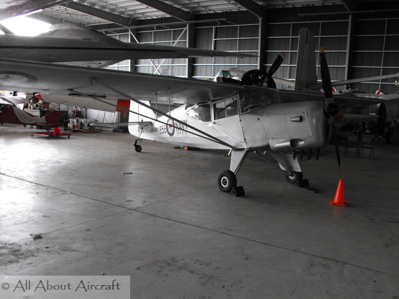 Auster J-5