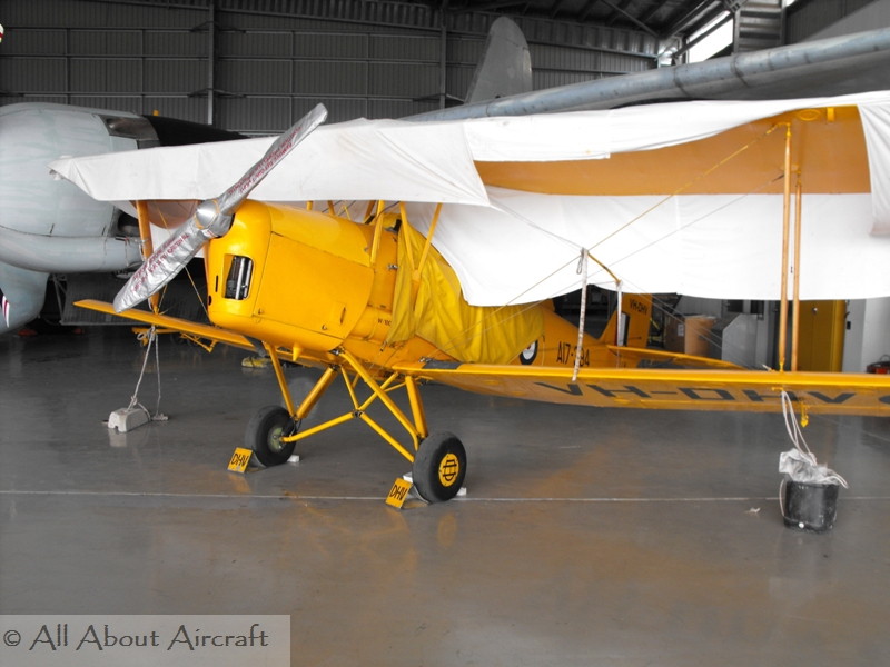 Tiger Moth