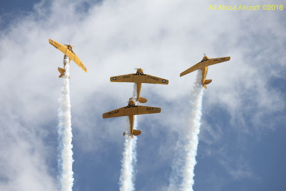 T-6 Texans