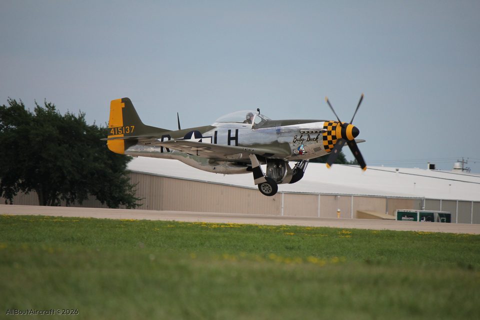 P-51D Mustang Baby Duck