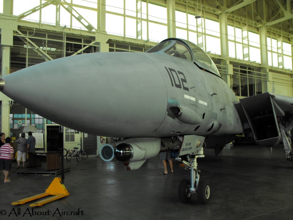 Grumman F-14D Tomcat
