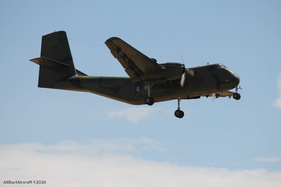 Caribou A4-234