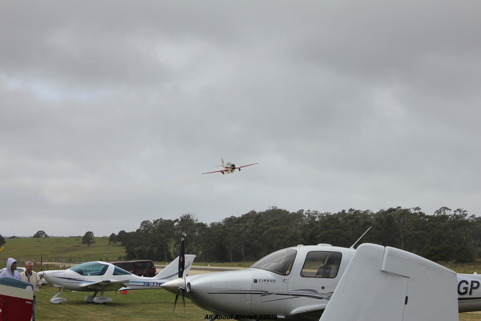 VH-YYK - Yak-52